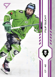 Suchý Filip Purple Iceberg Parallel 17/60 Tipsport extraliga 24/25 #355
