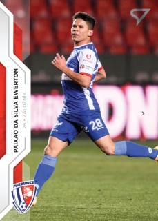 Ewerton Paixao da Silva 20-21 Fortuna Liga #318
