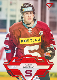 Mužík Radek Red Parallel Tipsport extraliga 23/24 #293