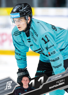 Sapoušek Robin Tipsport extraliga 25/26 #88