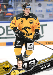 Gajdoš František Tipsport extraliga 25/26 #149