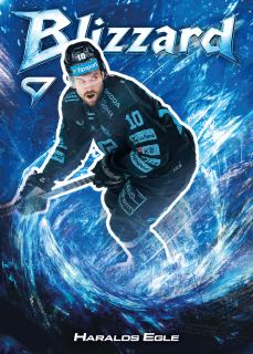 Egle Haralds Blizzard Tipsport extraliga 25/26 #15