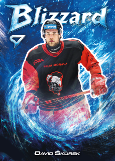 Škůrek David Blizzard Tipsport extraliga 25/26 #43