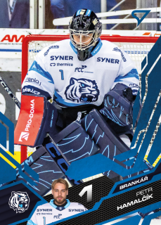 Hamalčík Petr Azure Blue Tipsport extraliga 25/26 #181