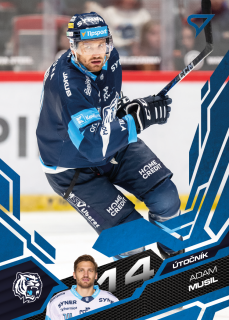 Musil Adam Azure Blue Tipsport extraliga 25/26 #190