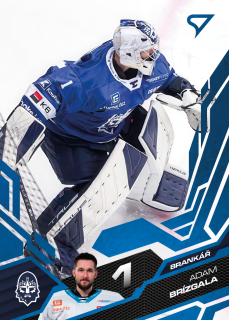 Brízgala Adam Azure Blue Tipsport extraliga 25/26 #217