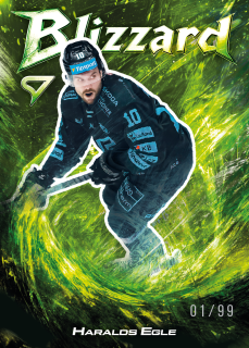 Egle Haralds Blizzard Forest Green 77/99 Tipsport extraliga 25/26 #15