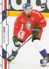 Mozík Vojtěch Moje Kartičky 2021 #24