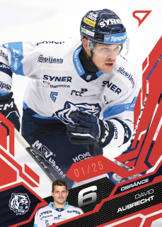 Aubrecht David Ruby Red 17/25 Tipsport extraliga 25/26 #183