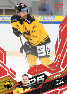 Kaše David Ruby Red 24/25 Tipsport extraliga 25/26 #159