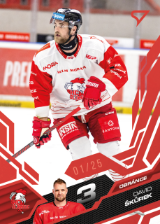 Škůrek David Ruby Red 24/25 Tipsport extraliga 25/26 #242