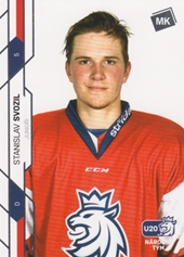 Svozil Stanislav Moje Kartičky 2021 #49