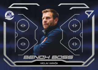 Varaďa Václav Bench Boss TELH 25-26 BB-15