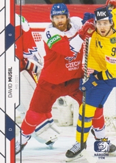 Musil David Moje Kartičky 2021 #60