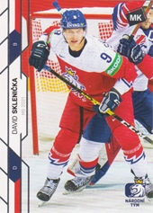 Sklenička David Moje Kartičky 2021 #63