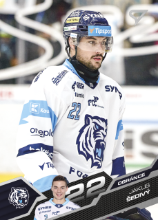 Šedivý Jakub Tipsport extraliga 25/26 #333