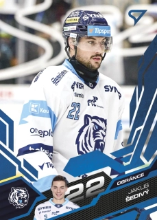 Šedivý Jakub Azure Blue Tipsport extraliga 25/26 #333