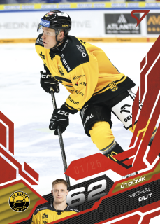 Gut Michal Ruby Red 9/25 Tipsport extraliga 25/26 #318