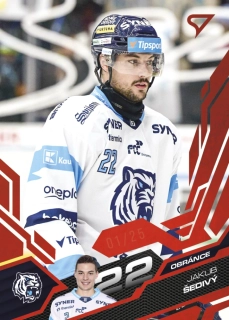 Šedivý Jakub Ruby Red 22/25 Tipsport extraliga 25/26 #333