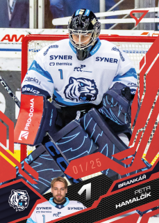 Hamalčík Petr Ruby Red 2/25 Tipsport extraliga 25/26 #181