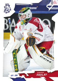Pavlát Dominik Hokejové Česko 2026 #5