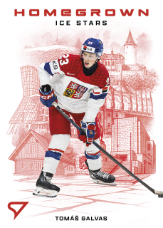 Galvas Tomáš Homegrown Ice Stars Hokejové Česko 2026 HS-04