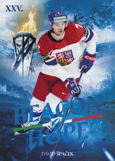 Špaček David Beacon of Hope Hokejové Česko 2026 BH-12