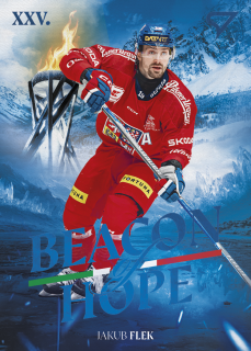 Flek Jakub Beacon of Hope Hokejové Česko 2026 BH-16
