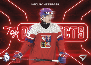 Nestrašil Václav Top Prospects Hokejové Česko 2026 TP-29