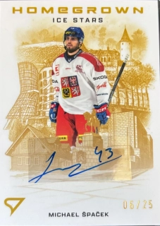 Michael Špaček Homegrown Ice Stars Gold Auto 6/25