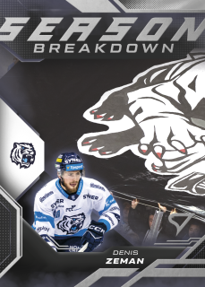 Zeman Denis Season Breakdown SB-31