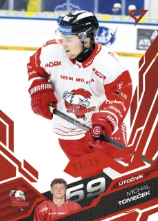 Tomeček Michal Ruby Red 24/25 Tipsport extraliga 25/26 #422