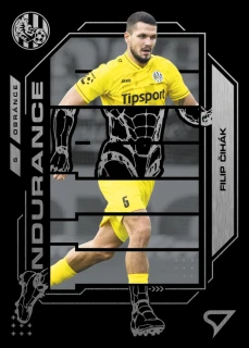 Čihák Filip Endurance Chance liga 2026-2027